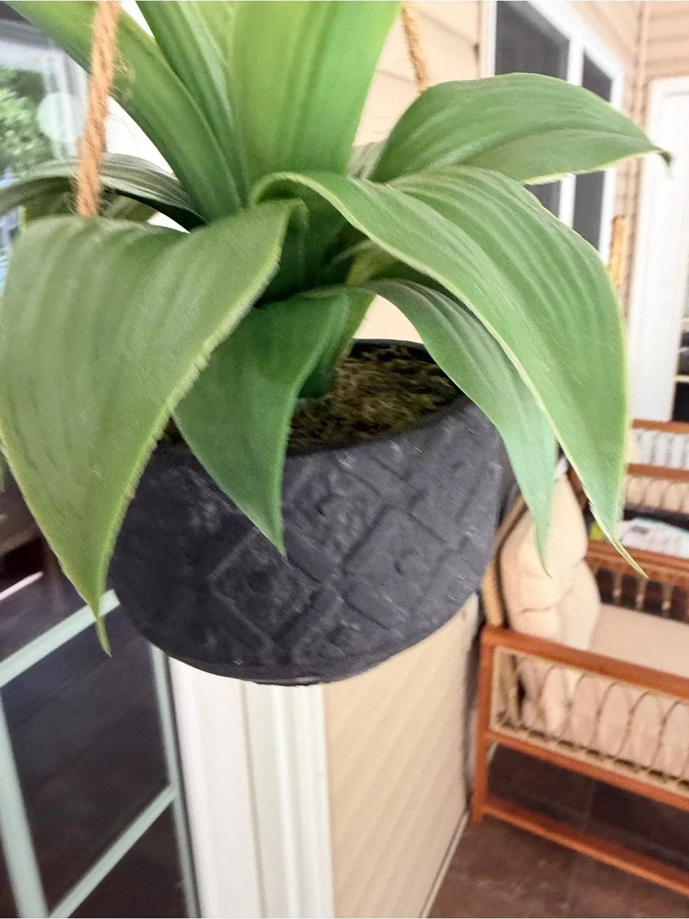 Magnolia Faux Plant Black Hanging Planter with Jute Rope - Home Accents